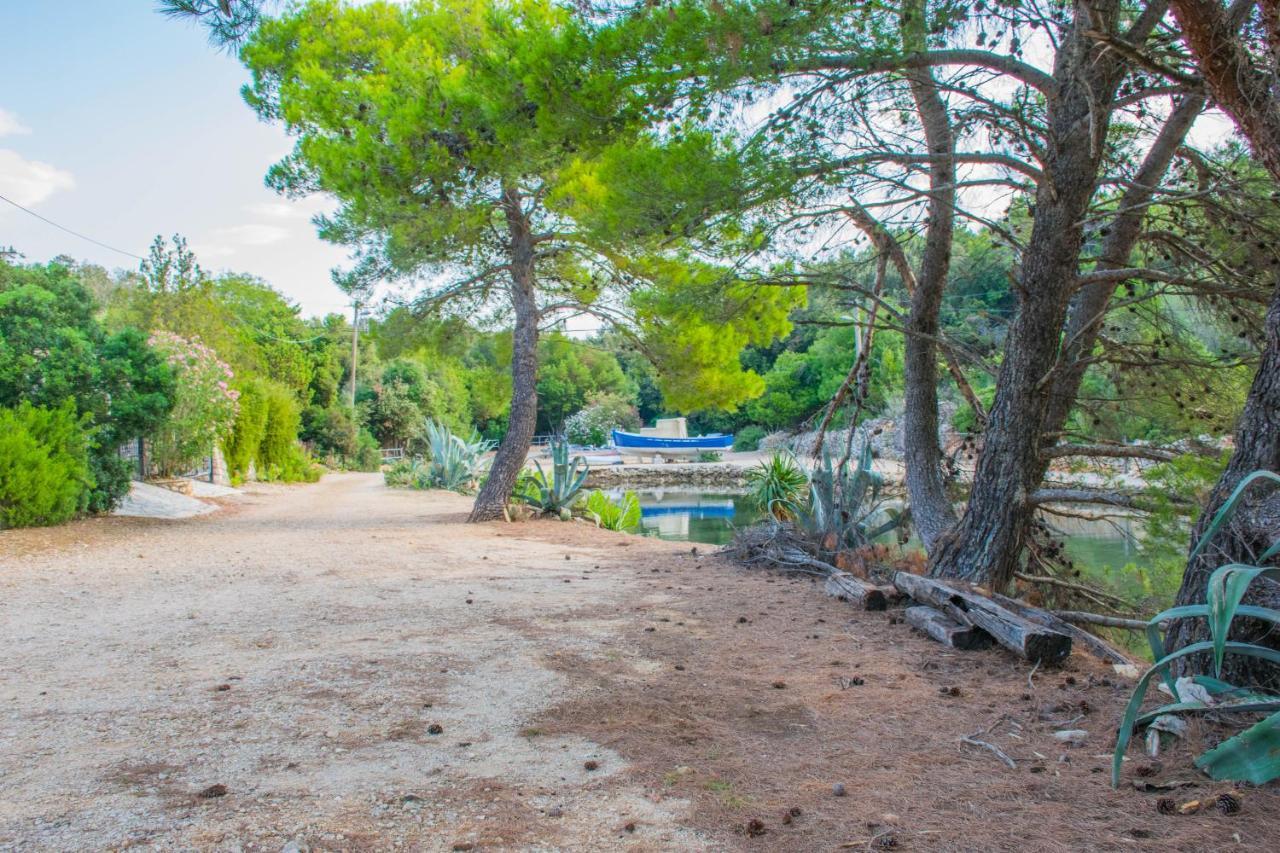 Holiday House Punta Blue & Orange 5M From The Sea, Island Cres Punta Križa エクステリア 写真