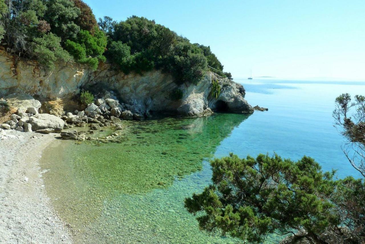 Holiday House Punta Blue & Orange 5M From The Sea, Island Cres Punta Križa エクステリア 写真